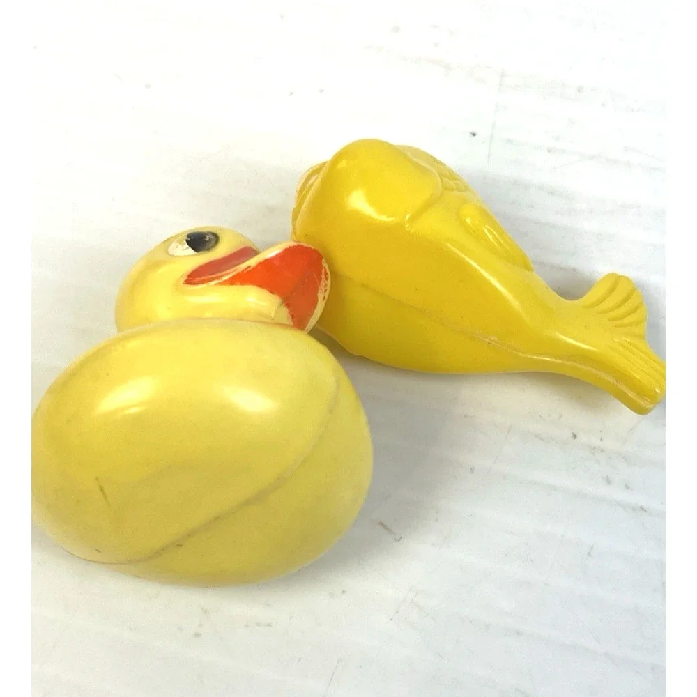 Vintage duck fish